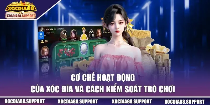 Cơ chế hoạt động của xóc đĩa